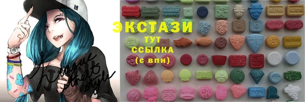 дмт Инта