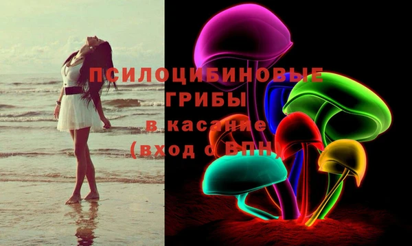 дмт Инта